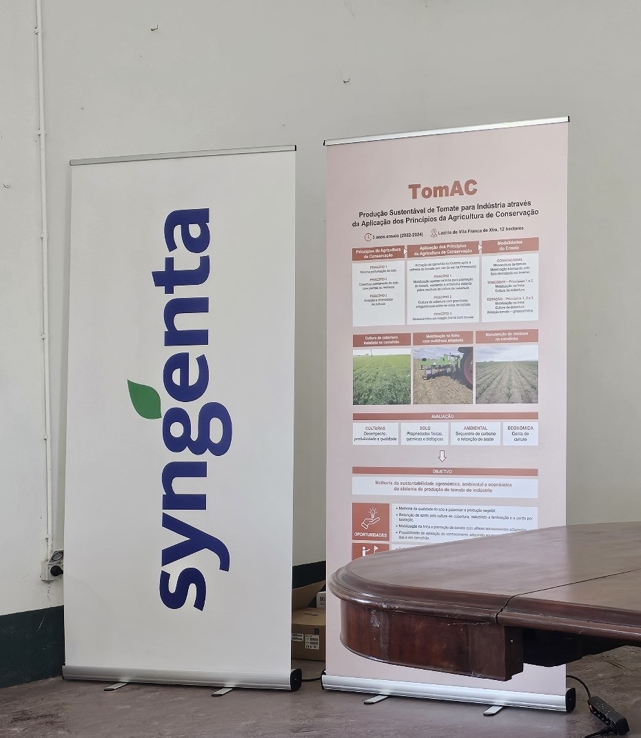 Consórcio do projeto TomAC demonstra potencial da Agricultura de Conservação na cultura do tomate para indústria